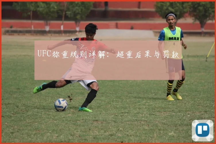 UFC称重规则详解：超重后果与罚款