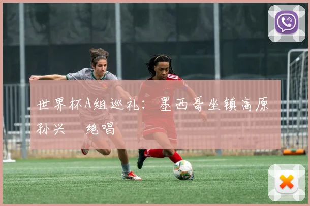 世界杯A组巡礼:墨西哥坐镇高原 孙兴慜绝唱