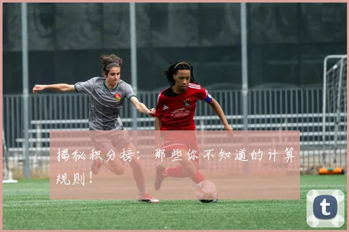 揭秘积分榜：那些你不知道的计算规则！