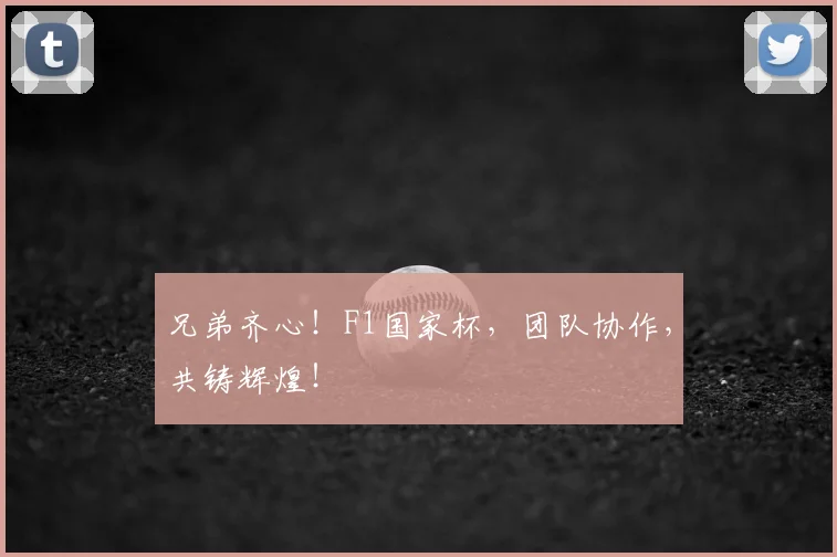 兄弟齐心!F1国家杯,团队协作,共铸辉煌!