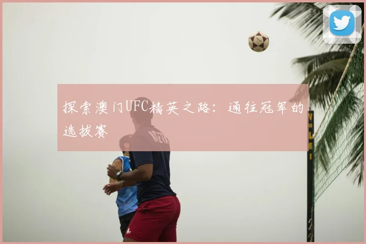 探索澳门UFC精英之路:通往冠军的选拔赛